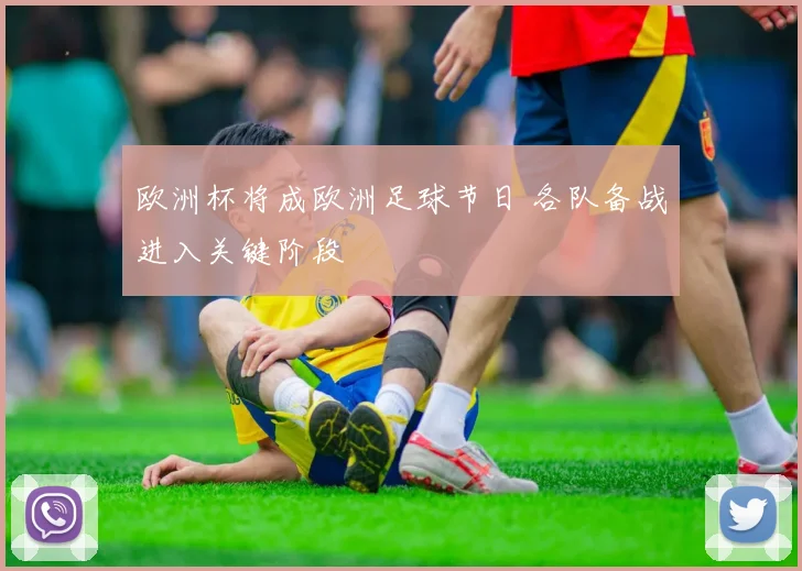 欧洲杯将成欧洲足球节日 各队备战进入关键阶段