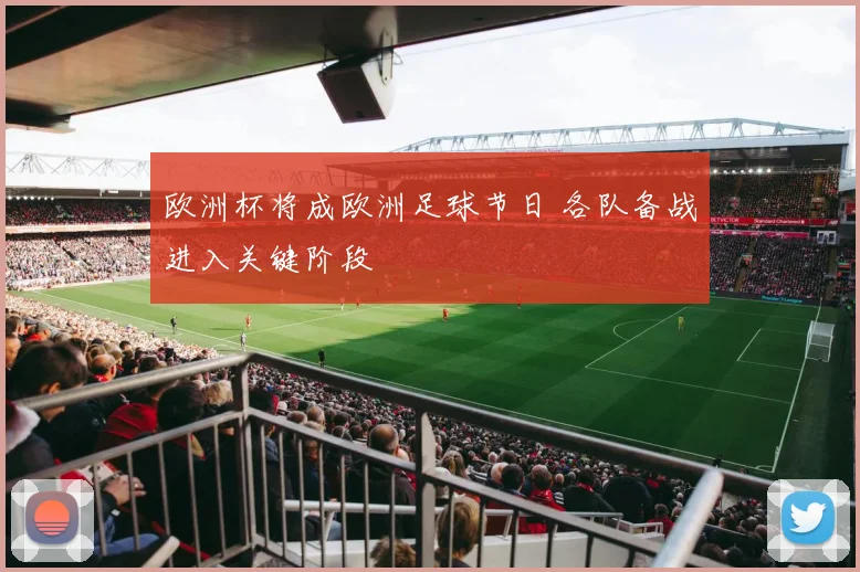 欧洲杯将成欧洲足球节日 各队备战进入关键阶段