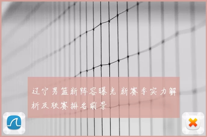 辽宁男篮新阵容曝光 新赛季实力解析及联赛排名前景
